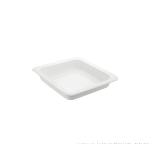 Rectangular Porcelain Food Plates